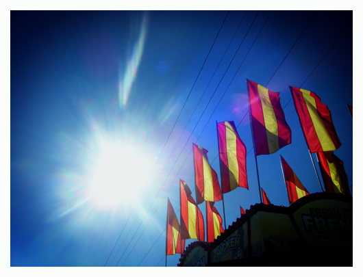 flags flags