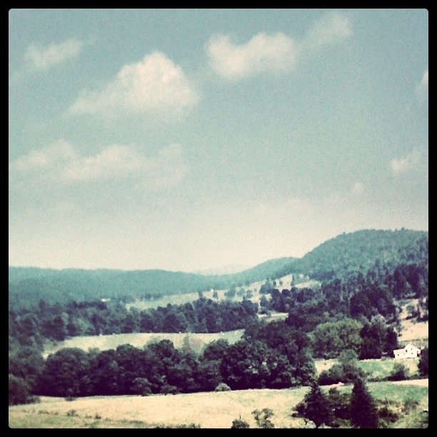 20110905-014520.jpg