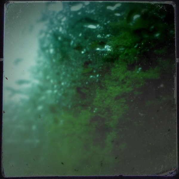 20110905-014556.jpg