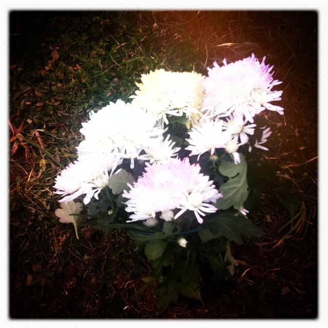 20120408-221918.jpg