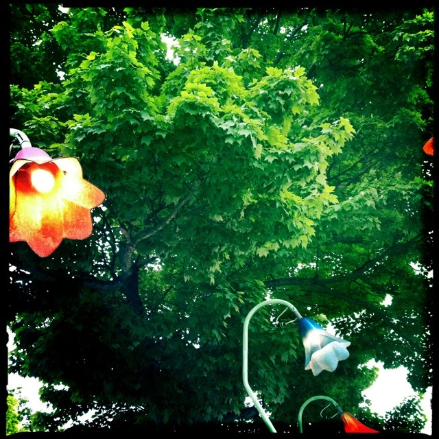 20120514-170325.jpg