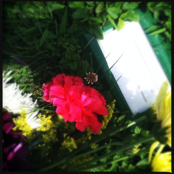 20120723-093338.jpg