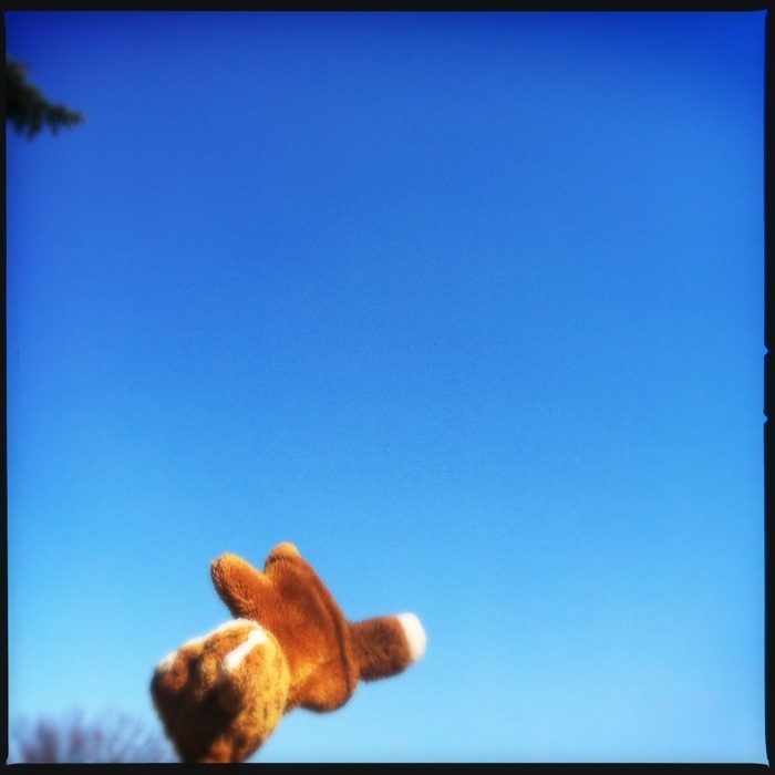 20130309-174339.jpg
