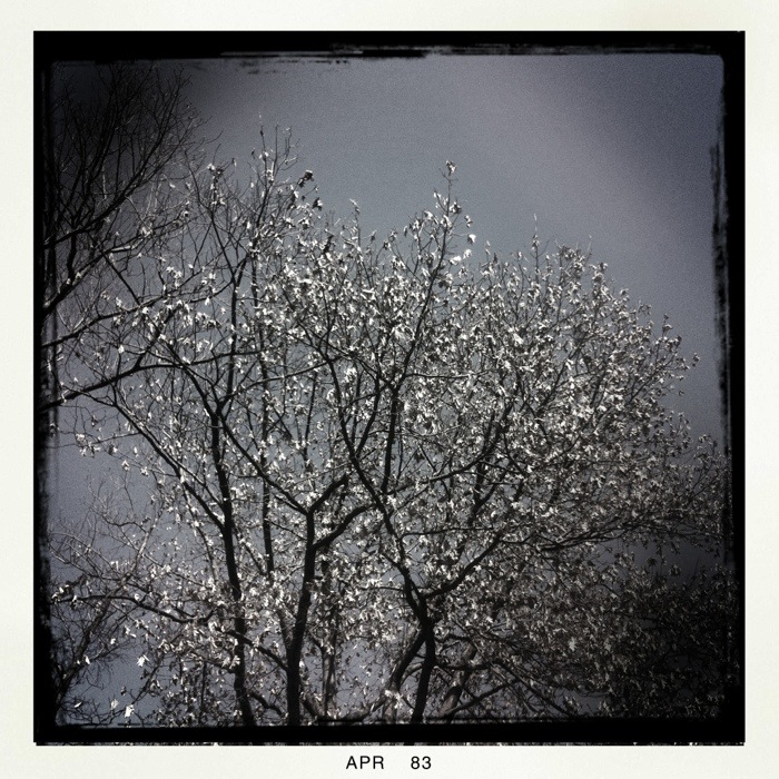 20130408-212458.jpg