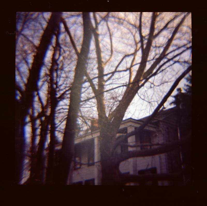 crazyhouse